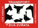 Transport živých zvířat - samolepka.